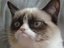 grumpy cat 4